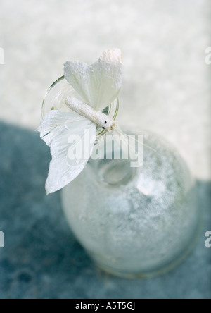 Fake butterfly bilanciamento sulla bottiglia Foto Stock