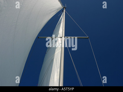 Barca a vela, a basso angolo di visione della vela Foto Stock