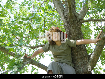 Ragazzo seduto nella struttura ad albero Foto Stock