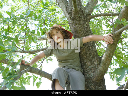 Ragazzo seduto nella struttura ad albero Foto Stock