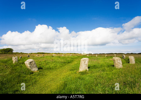 Merry Maidens cerchio di pietra su estati soleggiate giorno vicino Lamorna Penwith West Cornwall Inghilterra UK Regno Unito GB Gran Bretagna Foto Stock