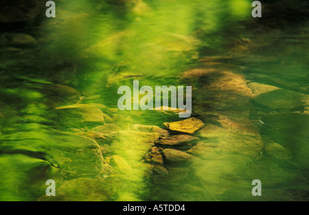 Fiume poco profondo con riflessi verde dagli alberi circostanti. Foto Stock
