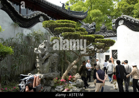 I turisti alla ricerca formale a disposizione di roccia e Albero scolpito circondato da pareti di Drago in Giardino Yu Yuan, Shanghai Foto Stock