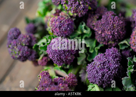 Viola organico broccoletti Foto Stock