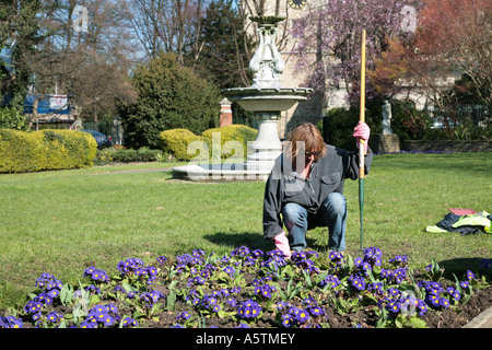 Donna tendendo i fiori nel parco urbano Foto Stock