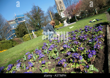 Donna tendendo i fiori nel parco urbano Foto Stock