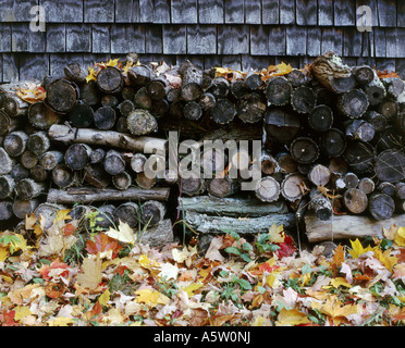 I registri per l'inverno di legna da ardere stand contro clapboard house,foglie di autunno moquette prato,al Vigneto di Martha,U.S.A. Foto Stock