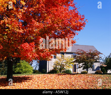 Bianco tradizionale clapboard casa circondata da fogliame di autunno concord massachusetts usa Foto Stock