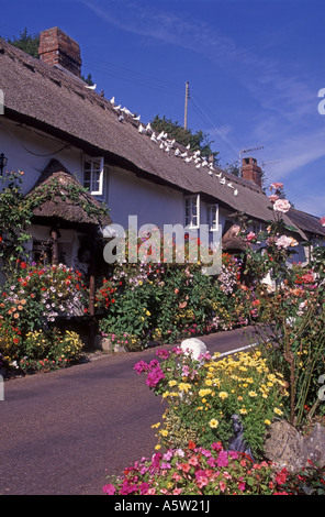 Il pittoresco villaggio di Branscombe, Devon visualizza strada meravigliosi giardini floreali. XPL 4917-460 Foto Stock