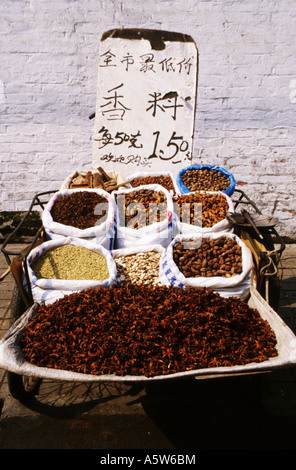 Gli impulsi e le spezie per la vendita su strada,Jinghong,Xishuangbanna,nella provincia dello Yunnan,Cina. Foto Stock