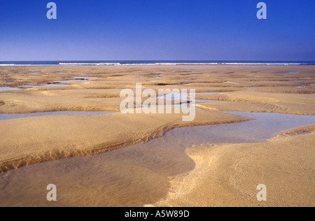 Bassa marea a Perranporth sulla costa nord della Cornovaglia nel Regno Unito Foto Stock