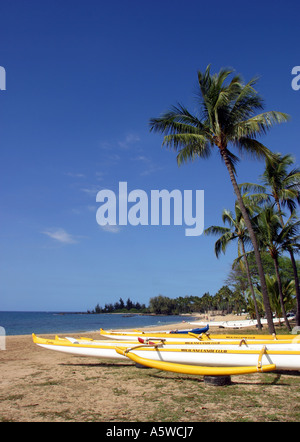 Outrigger Canoe sulla spiaggia a Haleiwa North Shore Oahu Hawaii USA Foto Stock