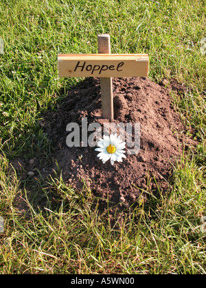 Animale funerale grave Foto Stock