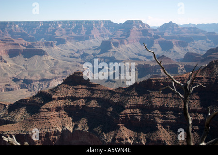 Arizona AZ Parco Nazionale del Grand Canyon Foto Stock