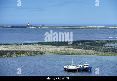 La vista dall'interno isole farne guardando verso farne esterna con il faro in background northumberland Inghilterra Foto Stock