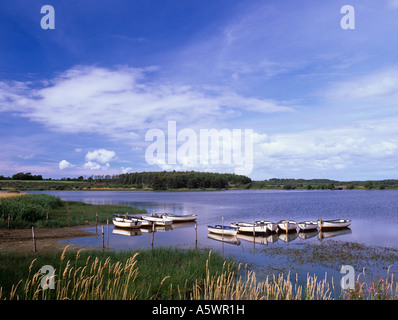 CEFNI serbatoio con ormeggiate le imbarcazioni utilizzate per la pesca sul lago vicino a Llangefni Isola di Anglesey Wales UK Gran Bretagna Foto Stock