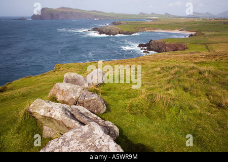 Costa frastagliata con vista delle scogliere a nord di Clogher testa a testa Slea Drive. A Dunquin Penisola di Dingle Contea di Kerry Eire Foto Stock