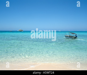 Sandbank con battello navetta andando fuori all'escursione catamarano, della Grande Barriera Corallina, Cairns, North Queensland, Australia Foto Stock