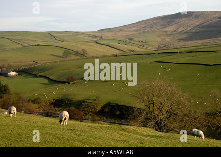 Vista da Shutlingsloe Foto Stock