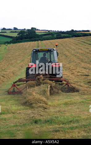 Fienagione su un Nord Farm Dorset England Regno Unito Foto Stock