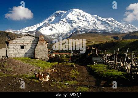 Latte di mucca e di capanne di Pulingue San Pablo, Pulingue San Pablo, Provincia del Chimborazo, Ecuador, Sud America Foto Stock