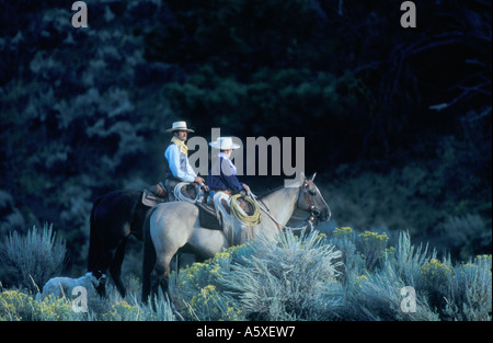 Cowboy e Cowgirl su cavalli Oregon USA Foto Stock