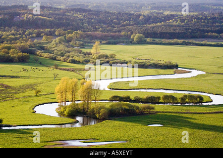 Vista aerea. Serpeggiante Fiume Avon e pascoli. Il Dorset. Regno Unito. Foto Stock