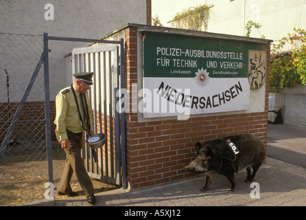 Il poliziotto Herr Werner Franke, che si occupa di Louise, un drogato che ha nascosto Hog Niedersachsen Germania circa 1985 HOMER SYKES Foto Stock