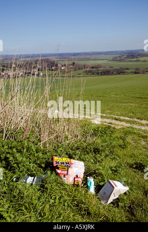 Scartato figliata in un layby sul southdowns vicino a Bury in West Sussex Regno Unito. 2007 Foto Stock