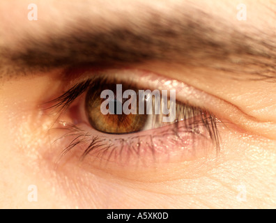 Femmine umane occhio, vicino. Foto Stock