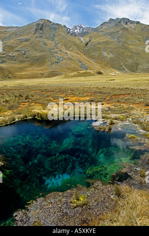 La molla di acqua limpida sulla strada per il ghiacciaio Pastoruri (Perù). Fonte d'eau limpide Sur la Route du ghiacciaio Pastoruri. Foto Stock