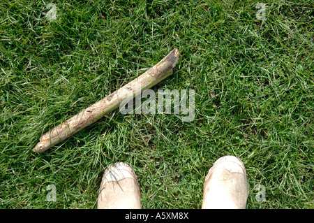 Cane a camminare in stivali da pioggia sull'erba Foto Stock