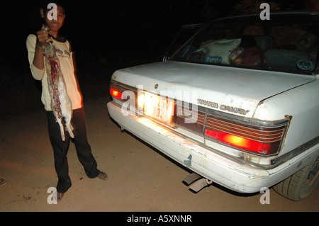 Un tassista di prelevare il suo road kill, un piccolo coniglio, su una piccola strada in Cambogia Foto Stock