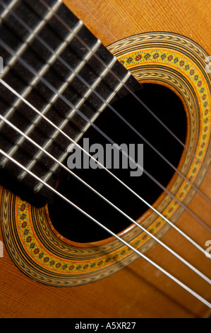 Chitarra Fleta tavola armonica di Modello di Rose Foto Stock