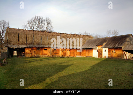 Vecchia campagna fuori casa Foto Stock