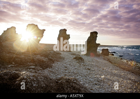 Sun retroilluminato (calcare pietre Rauk ) un fenomeno geologico in Langhammars Riserva naturale sulla costa stark di isola di Gotland. Foto Stock