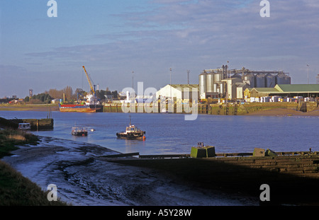Kings Lynn docks Foto Stock