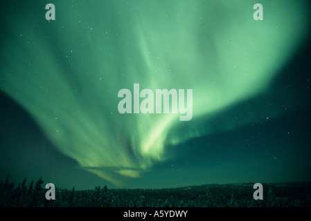 Aurora Boreale o Northern Lights Yellowknife area, Northwest Territories CANADA Foto Stock