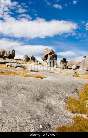 Calcare insolite formazioni rocciose in Nuova Zelanda " Castle Hill' rocce Foto Stock