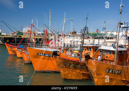 Barche da pesca a Puerto Faro Mar del Plata, Argentina. Foto Stock