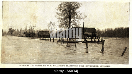 Fiume Mississippi alluvione del 1890. Il Gin house e cabine sul W.E. Mollinson piantagione del vicino Mayersville, Mississippi. Foto Stock