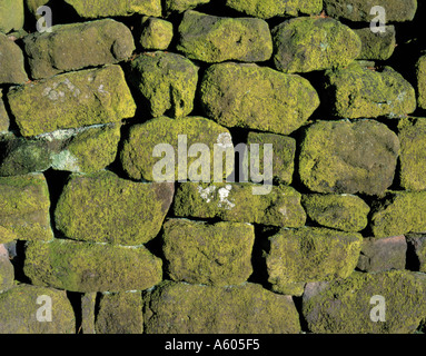 La sezione di vecchi lichen coperto stalattite parete, nell'Inghilterra del Nord, Regno Unito. Foto Stock