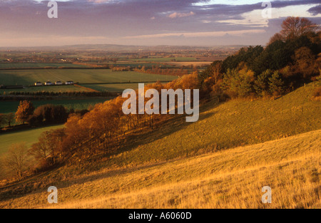 Vista da ovest Aston Rowant riserva naturale nazionale Foto Stock