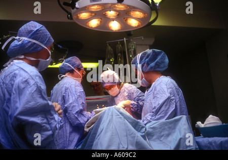 Operazione di taglio cesareo. Foto Stock