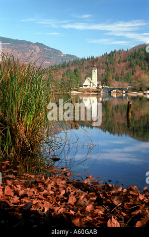 Il lago di Bohinj e chiesa in zone rurali a nord ovest della Slovenia nei pressi del lago di Bled Foto Stock