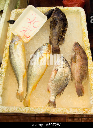Hong Kong, Cina. Pesce fresco per la vendita nel mercato del pesce di Mong Kok area di Kowloon Foto Stock