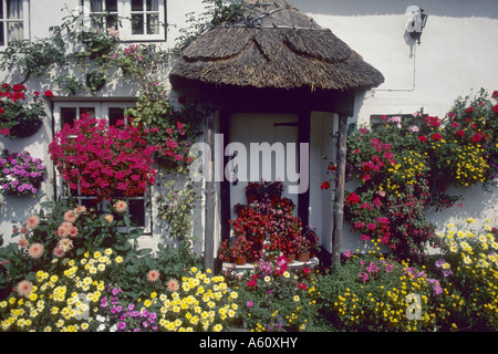 Casa con decorazioni floreali, Regno Unito, Inghilterra, Cornwall, Branscombe Foto Stock