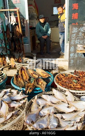 La vendita di appena pescato il pesce sbarcato sul porto di fronte shop stallo. Yantai porta nella provincia di Shandong, Cina Foto Stock