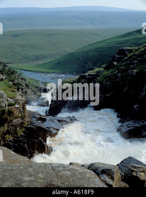 Calderone muso sul Fiume Tees appena al di sotto di vacca Serbatoio verde, Superiore Teesdale, County Durham, Inghilterra, Regno Unito. Foto Stock