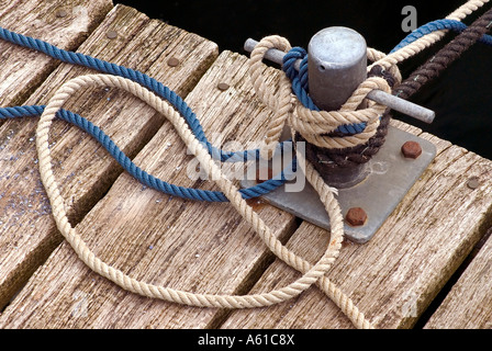 Linee di ormeggio in possesso di una barca a vela, duesternbrook marina, Kiel, SCHLESWIG-HOLSTEIN, Germania Foto Stock